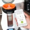 Chauffe-biberon BABY BREZZA Safe+Smart Bottle Warmer Blanc - Babybrezza