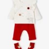 Ensemble 3 Pièces Bébé Sweat + Pantalon + Chaussettes écru - Vertbaudet