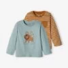 Lot De 2 T-shirts Basics Bébé Motif Animal Et Rayé Bleu Grisé - Vertbaudet