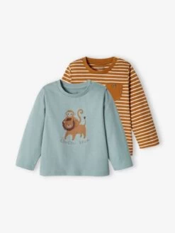 Lot De 2 T-shirts Basics Bébé Motif Animal Et Rayé Bleu Grisé - Vertbaudet