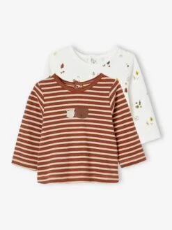 Lot De 2 T-shirts Bébé Manches Longues Noisette - Vertbaudet