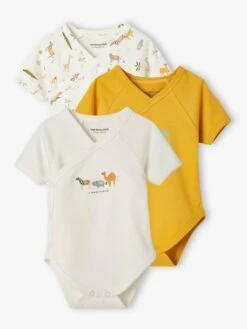 Lot De 3 Bodies "animaux" Bébé Ouverture Naissance Lot Jaune épicé - Vertbaudet