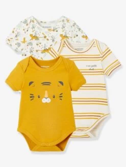 Lot De 3 Bodies Emmanchure Américaine Tigre Bébé Manches Courtes Lot Ivoire - Vertbaudet