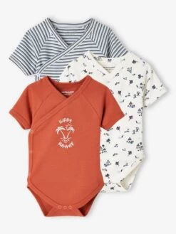 Lot De 3 Bodies "palmier" Bébé Ouverture Naissance Lot Orange Grisé - Vertbaudet