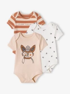 Lot De 3 Bodies "renard" Bébé Manches Courtes Beige Poudré - Vertbaudet