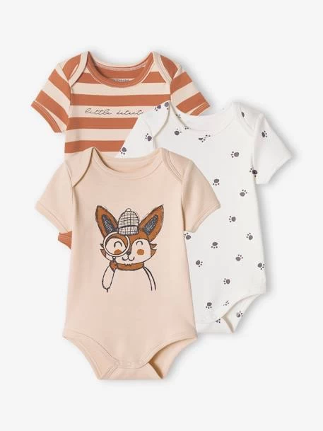 Lot De 3 Bodies "renard" Bébé Manches Courtes Beige Poudré - Vertbaudet
