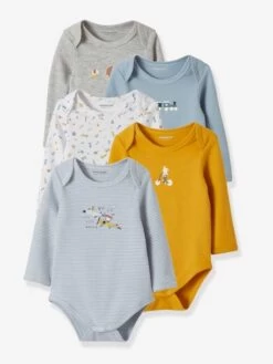 Lot De 5 Bodies Bébé Manches Longues Animaux Voyageurs Lot Bleu - Vertbaudet