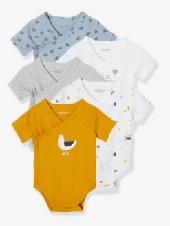 Lot De 5 Bodies Mouette Manches Courtes Ouverture Naissance Lot Jaune épicé - Vertbaudet