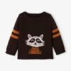 Pull Bébé Tricot Raton-laveur Chocolat - Vertbaudet