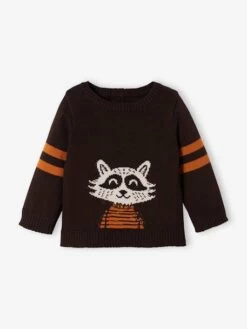 Pull Bébé Tricot Raton-laveur Chocolat - Vertbaudet